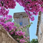 mooie roze bloemen voor de oude toren in Koločep