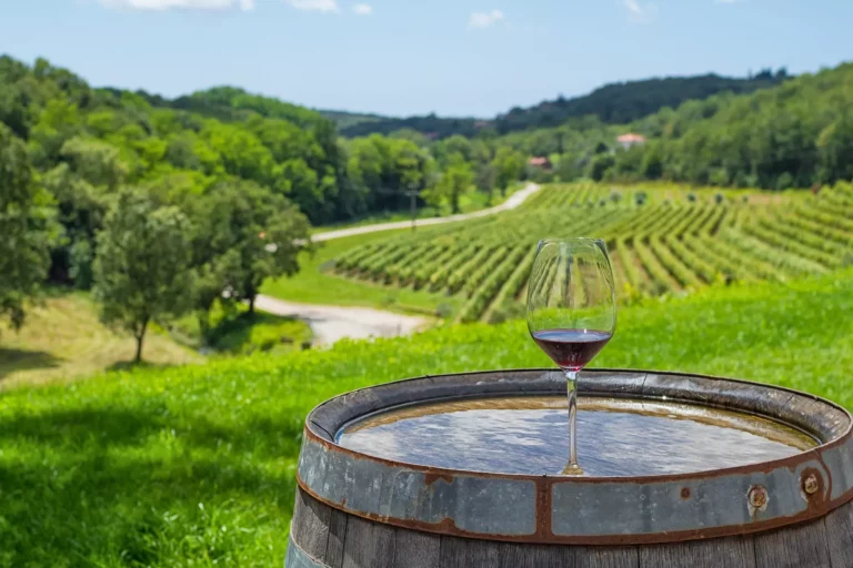 Ein Glas Rotwein auf einem Weinberg in Istrien, Kroatien.