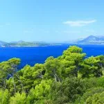 Dennenbos en Adriatische zee met Elafiti eilanden, Uitzicht vanaf Petka heuvel in Dubrovnik, beroemde reisbestemming, Kroatië
