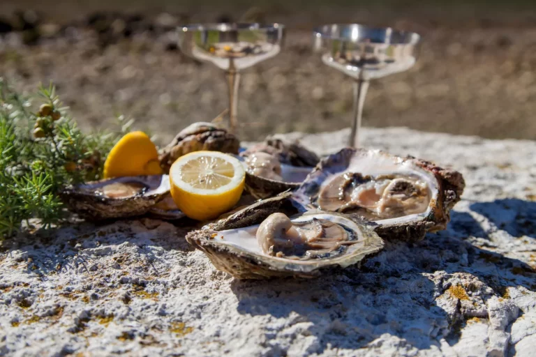 Romantic epicure orgy on the sea coast Fresh picked oysters and organic lemon and mediterranean herbs with silver champagne glasses