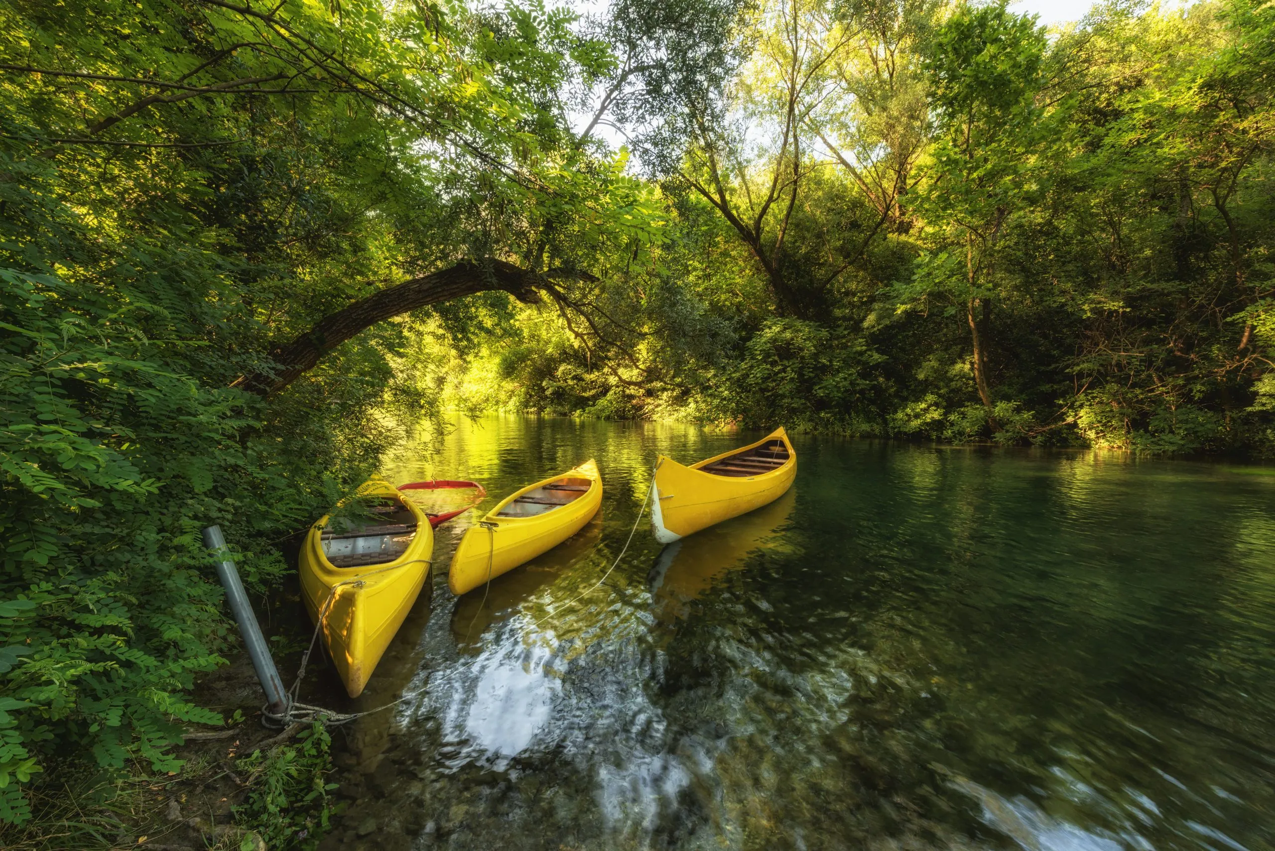 Yellow kayaks on the river Cetina, surrounded by green trees, Omis, Croatia